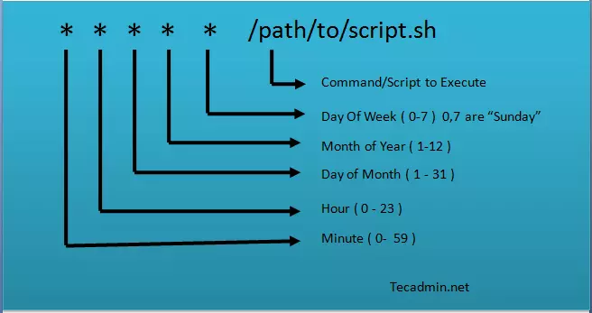 20 vi du ve crontab tren he dieu hanh linux 4352 1